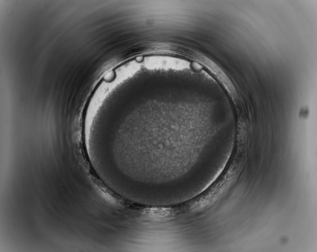 X0000103950858200810101437