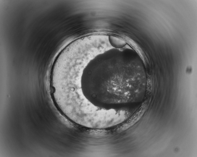 X0000103950859200810101437