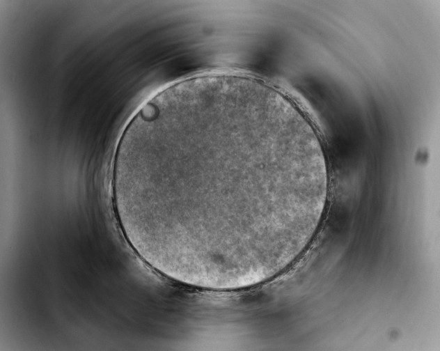 X0000103950860200810101437