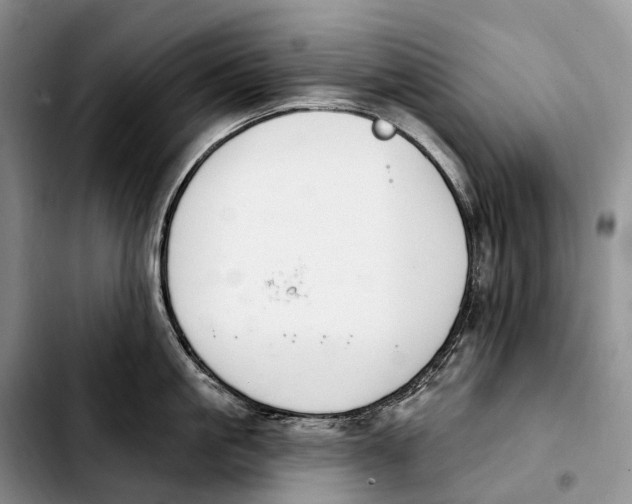 X0000103950861200810101437