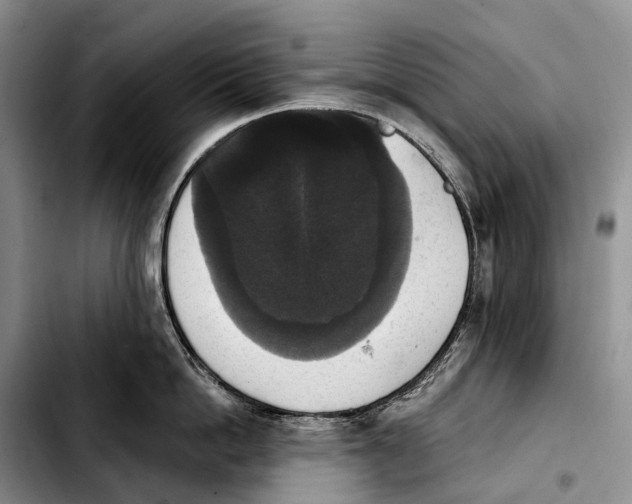 X0000103950862200810101437