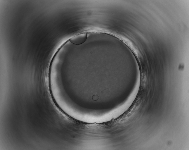 X0000103950863200810101437