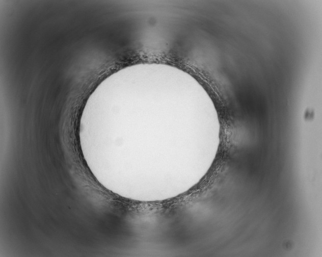 X0000103950865200810101436