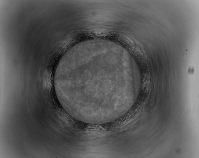 X0000103950866200810101436