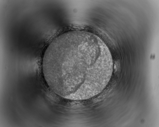 X0000103950867200810101436