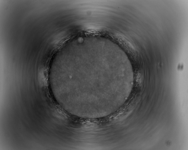 X0000103950868200810101436