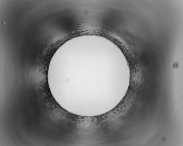 X0000103950869200810101436