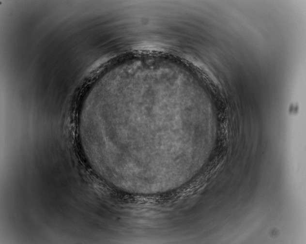 X0000103950870200810101436