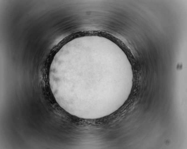 X0000103950871200810101436