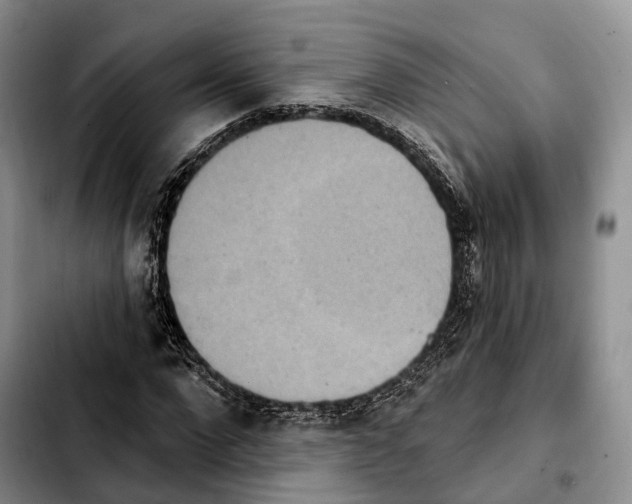 X0000103950872200810101436