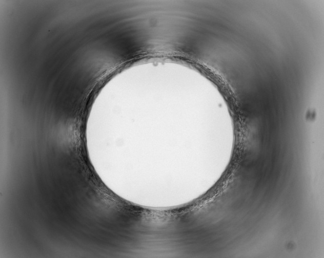 X0000103950873200810101436