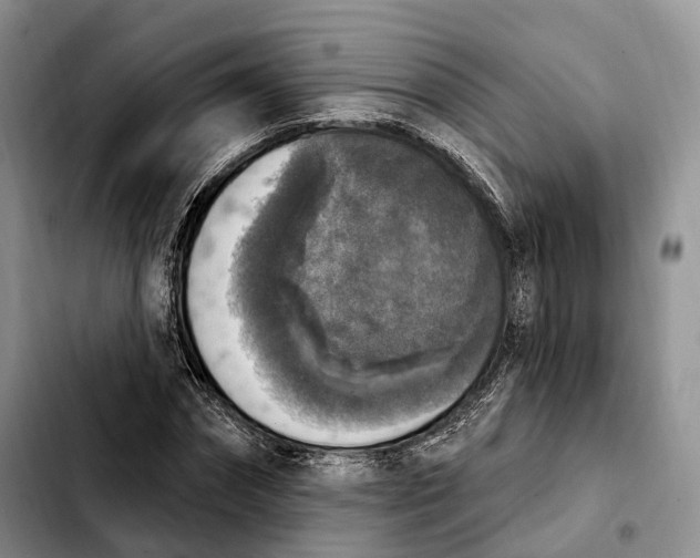 X0000103950874200810101436