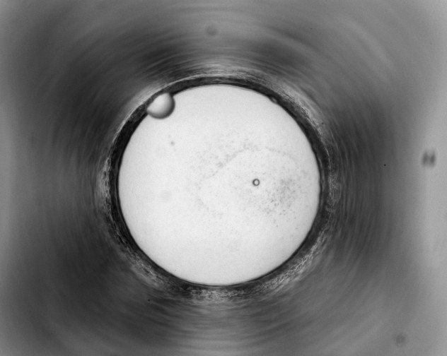 X0000103950875200810101436