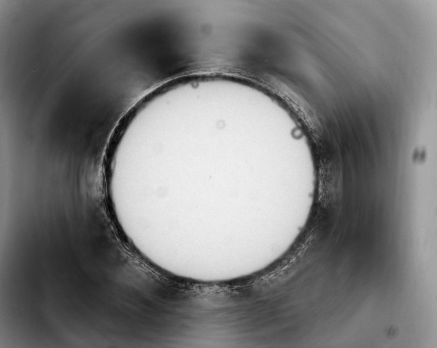 X0000103950876200810101436