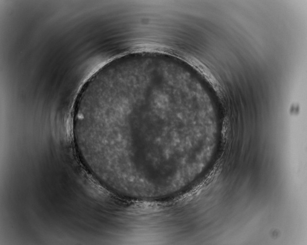 X0000103950877200810101436