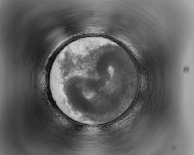 X0000103950878200810101436