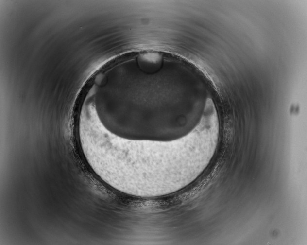 X0000103950879200810101436