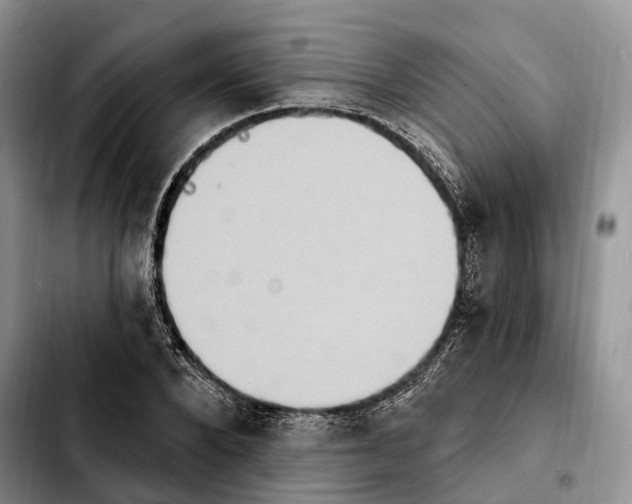 X0000103950880200810101436