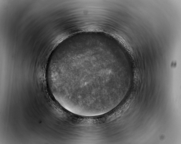 X0000103950881200810101436