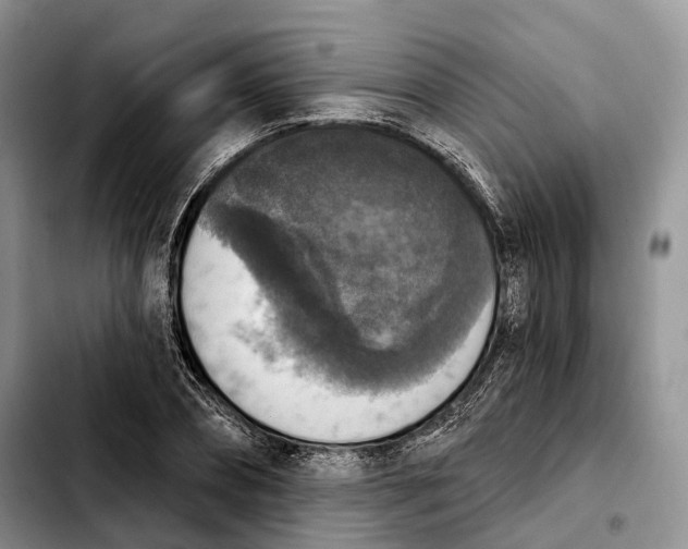 X0000103950882200810101436