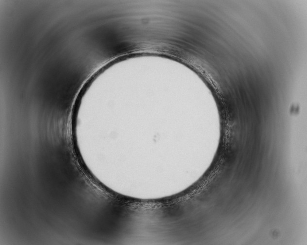 X0000103950884200810101436