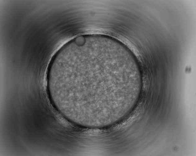 X0000103950885200810101436