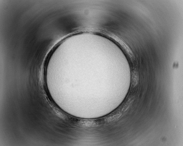 X0000103950886200810101436