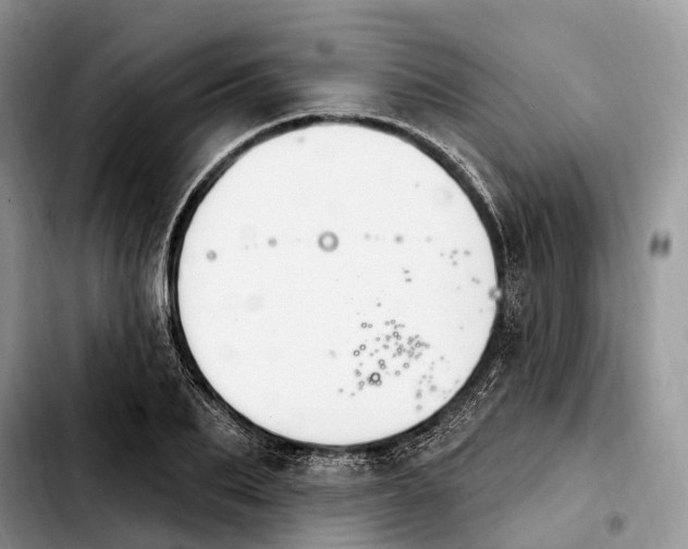 X0000103950887200810101436