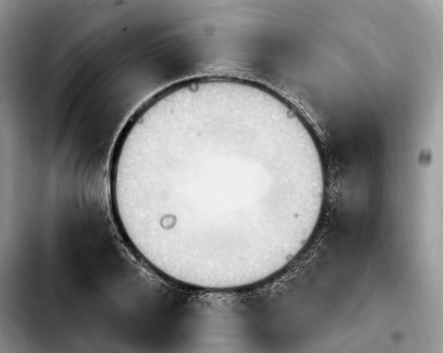 X0000103950888200810101435