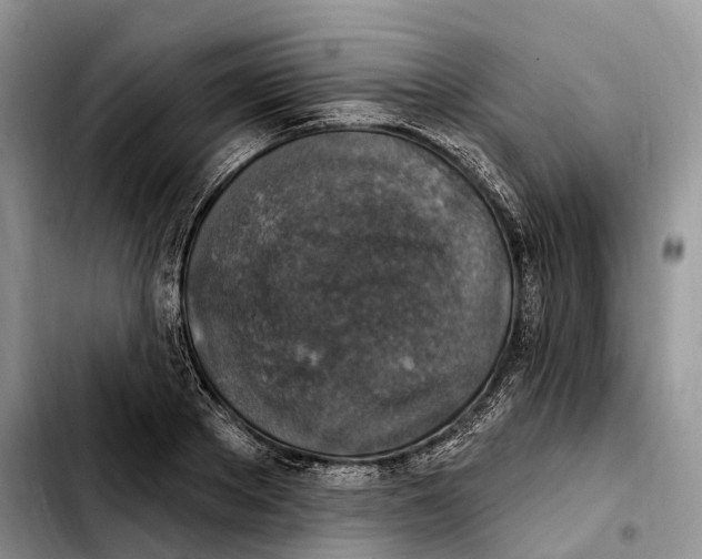 X0000103950889200810101435