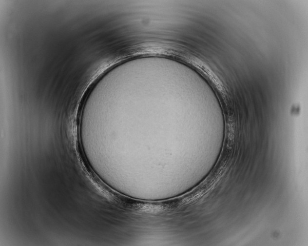 X0000103950890200810101435