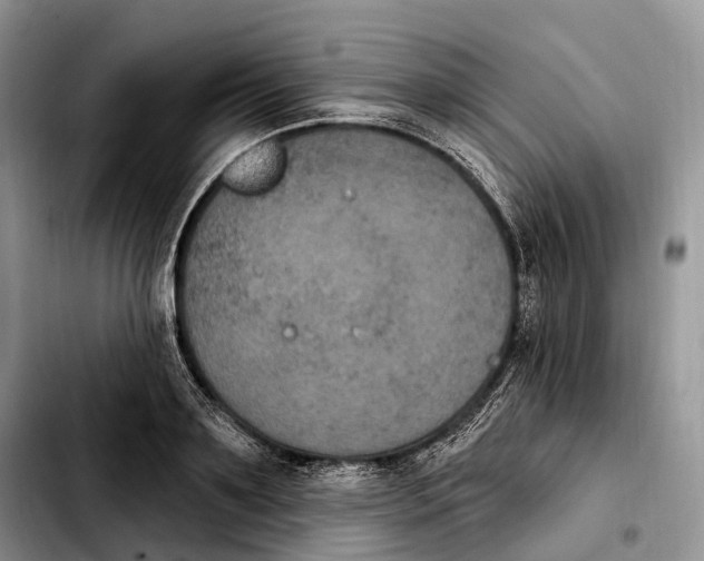 X0000103950891200810101435