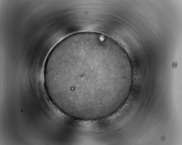 X0000103950892200810101435