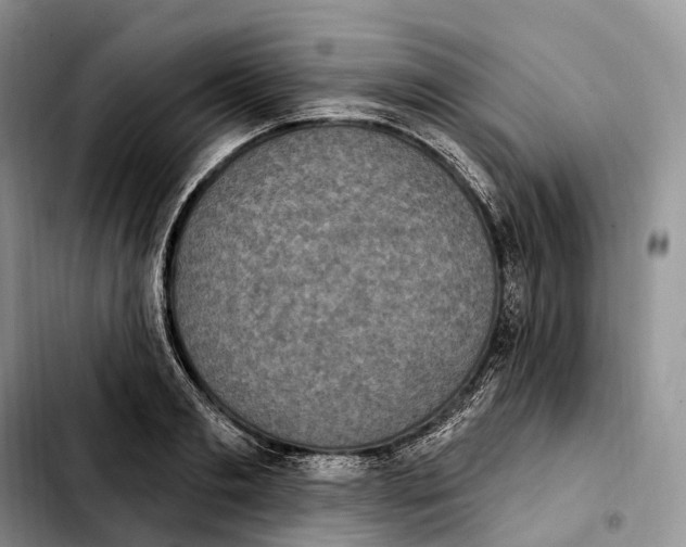 X0000103950893200810101435