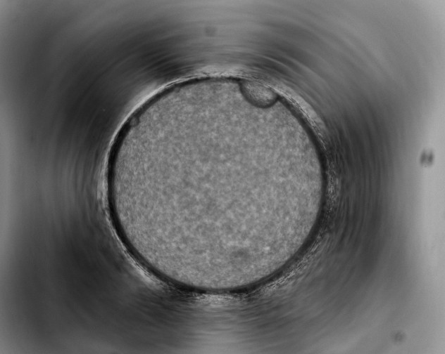 X0000103950894200810101435