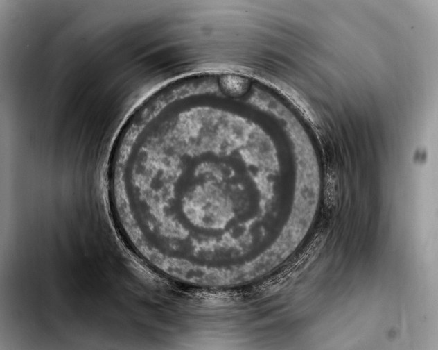 X0000103950895200810101435