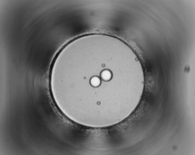 X0000103950896200810101435