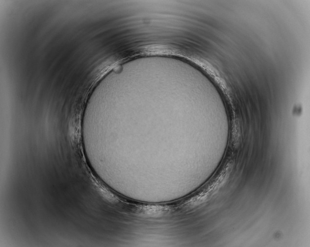 X0000103950897200810101435