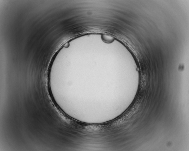 X0000103950898200810101435