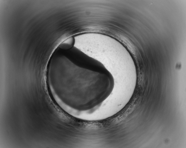 X0000103950899200810101435