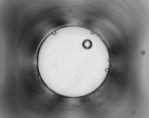 X0000103950900200810101435