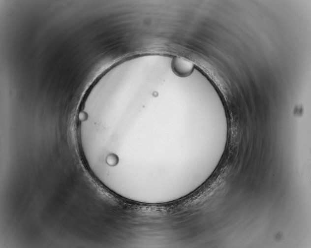 X0000103950901200810101435