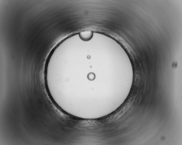 X0000103950902200810101435