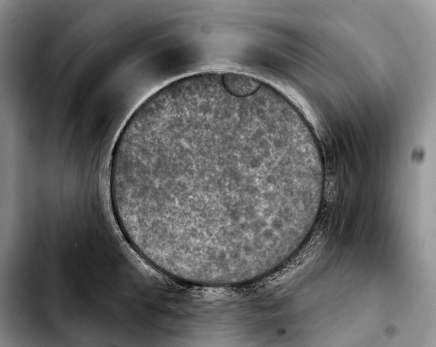 X0000103950903200810101435