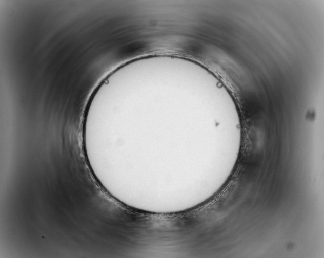 X0000103950904200810101435