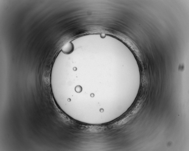 X0000103950905200810101435