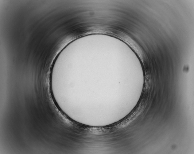 X0000103950906200810101435