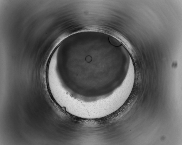 X0000103950907200810101435