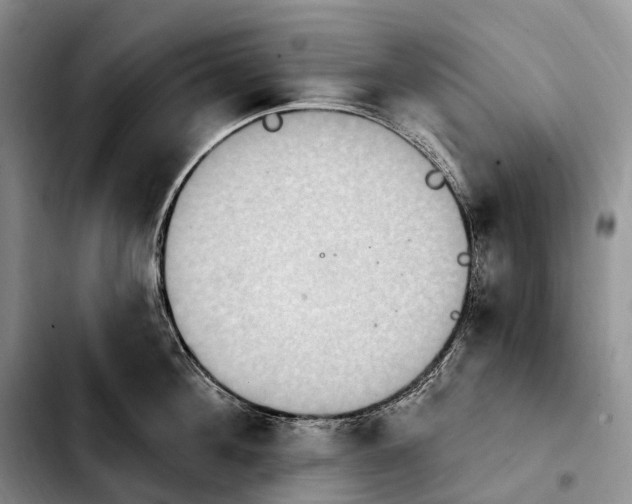 X0000103950908200810101435