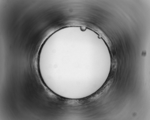 X0000103950909200810101435